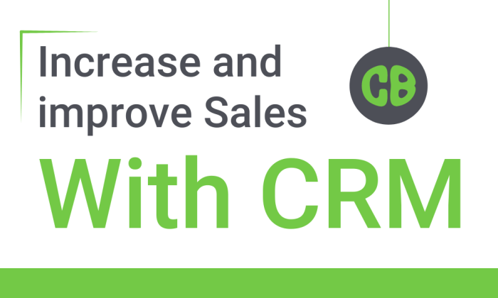 Strategies for improving sales team productivity using CRM data analytics