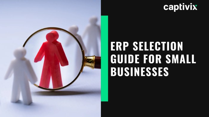 Best ERP system for small manufacturing businesses with low budget