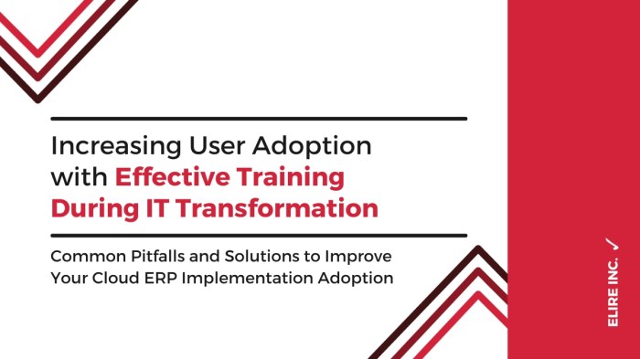 Training employees on a new ERP system for optimal user adoption