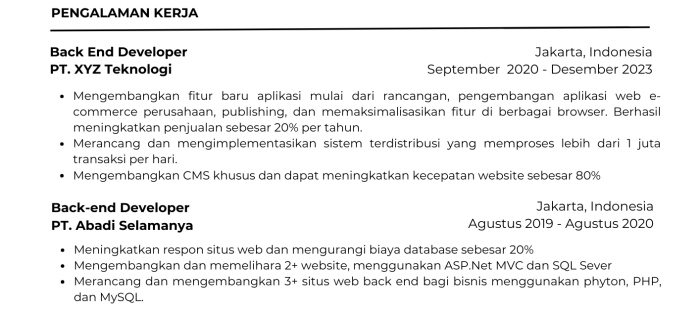 Pengalaman kerja yang diunggulkan dalam cv